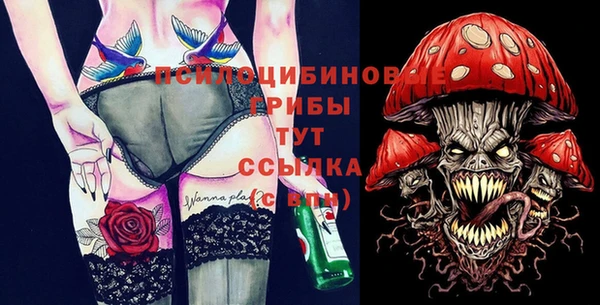 МДПВ Кинешма